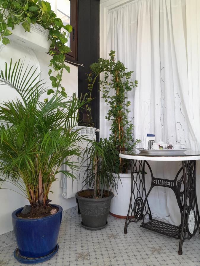 B&B Lido Liberty Lido di Ostia Eksteriør bilde