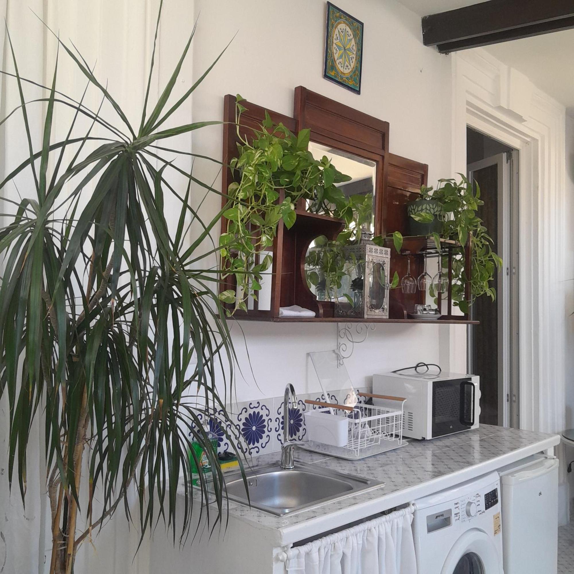 B&B Lido Liberty Lido di Ostia Eksteriør bilde